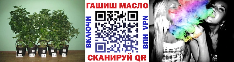 shop состав Дубна Дистиллят ТГК THC oil купить