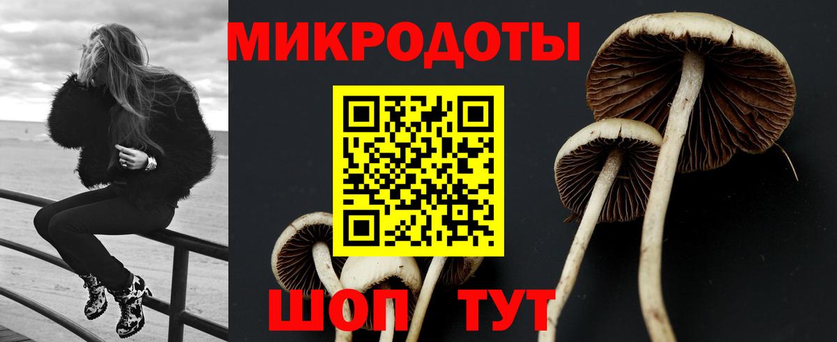 Псилоцибиновые грибы мухоморы Дубна